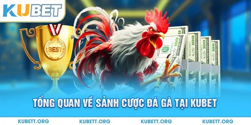 Tổng quan về sảnh cược đá gà tại Kubet